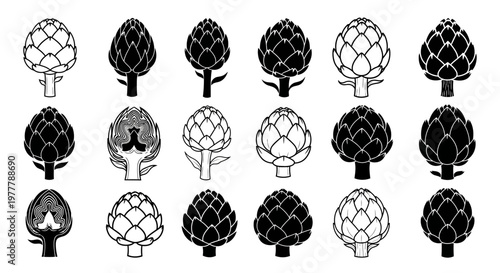 Artichoke Vector Icons Set: Fresh Vegetables, Healthy Food, Organic Produce, Culinary Ingredients