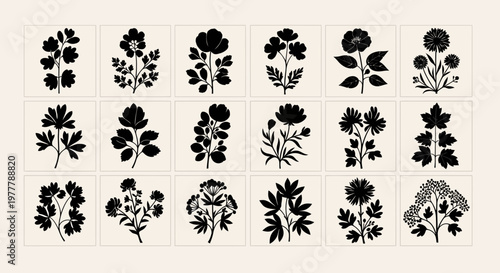 Vintage Botanical Illustrations: Collection of Black Silhouette Flowers and Plants