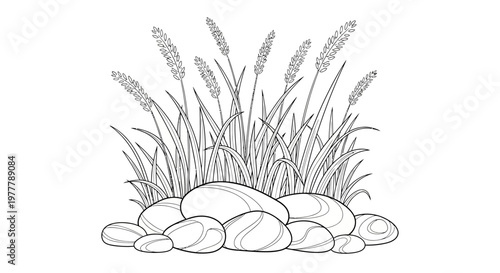 Pebbles and Tall Grasses: Natural Elements, Outline Drawing, Black and White