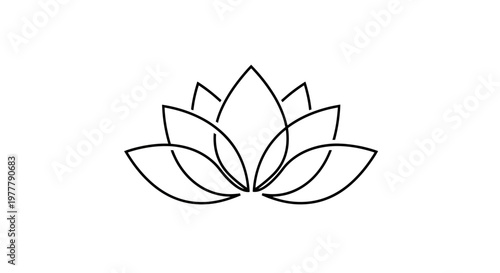 Abstract black line drawing of a lotus flower on white background