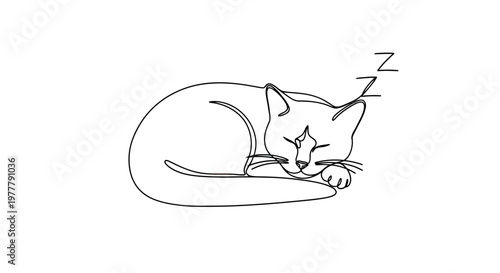 Minimalist line drawing of a sleeping cat with 'Zzz' symbols
