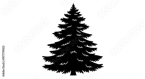 Silhouette of a tall evergreen pine tree with dense branches.