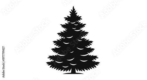 Silhouette of a tall evergreen pine tree with branches.