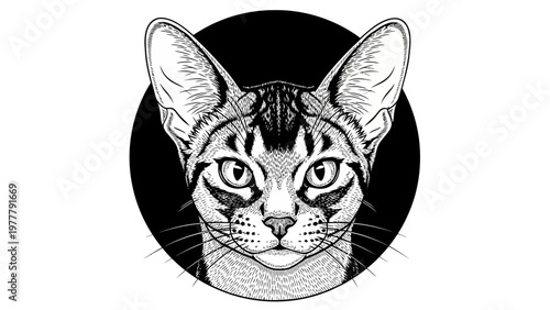 Striking Oriental Shorthair Cat Portrait, Black and White, Detailed Line Art, Circular Emblem