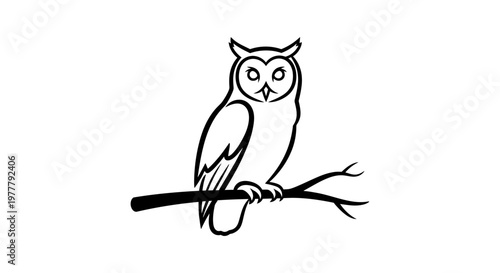 Black silhouette of an owl perched on a branch with its wings tucked