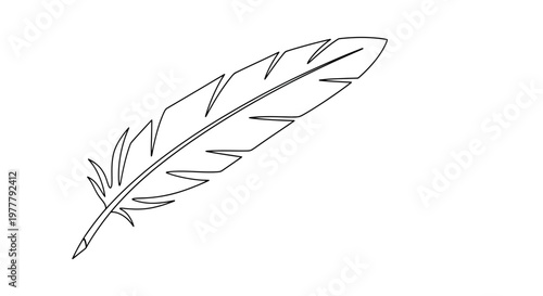 Minimalist black outline of a feather on a white background