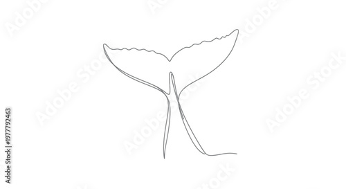 Single line drawing of a whale's fluke