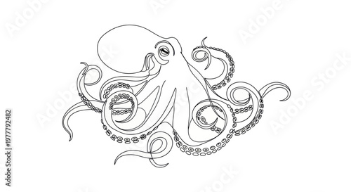 Minimalist outline of an octopus with elegantly curved tentacles and detailed suckers