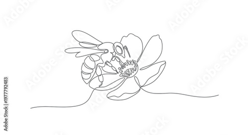 A minimalist line drawing depicts a bee collecting nectar from a flower