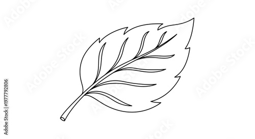 A black outline of a single leaf with serrated edges and prominent veins