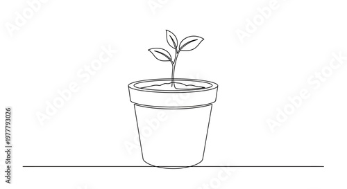 Fotografie Minimalist line art of a seedling in a pot