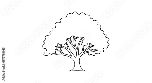 Stylized tree illustration with a broad, wavy canopy and sturdy trunk