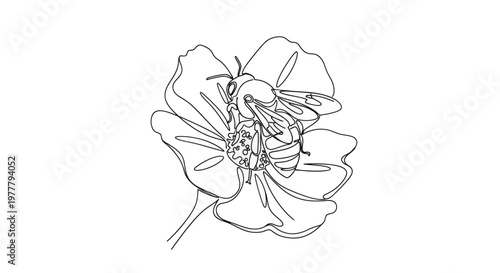Single line drawing of a bee pollinating a flower with intricate details