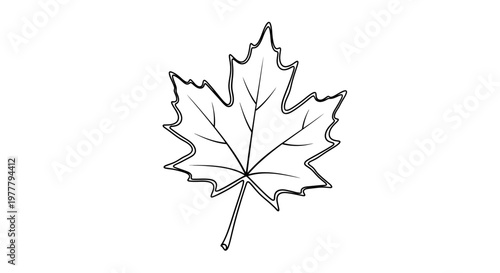 A simple black and white line drawing of a single, stylized maple leaf with a stem