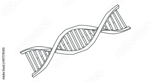 Simple line drawing of a double helix DNA strand
