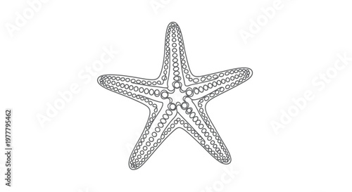 A detailed line drawing of a five-pointed starfish with circular textures along its arms and body