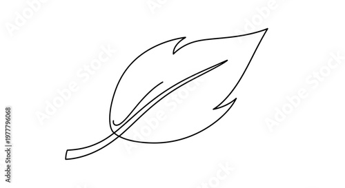 Black line art of a single leaf on a white background