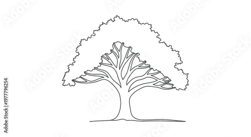 Minimalist line drawing of a mature tree with a broad, leafy canopy and visible branches