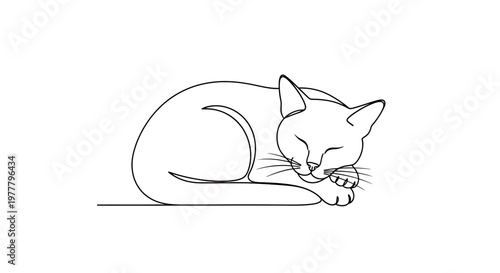 A minimalist line drawing of a sleeping cat curled up peacefully