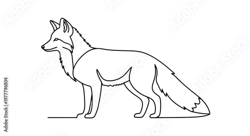 Clean line art profile of a fox standing