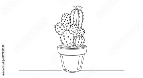 Minimalist line drawing of a potted cactus with spines and a single flower