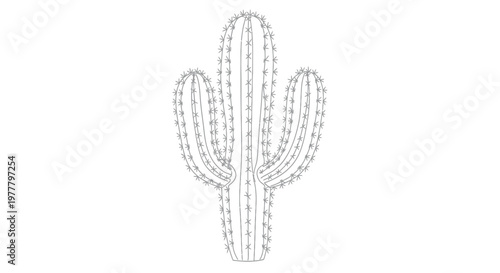 Stylized grey line drawing of a Saguaro cactus with three arms