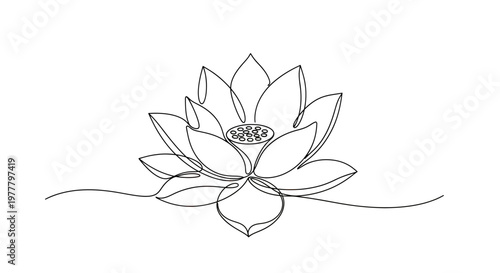 Minimalist single line drawing of a blooming lotus flower
