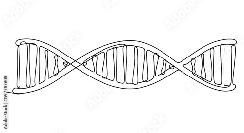 Photos A black and white line drawing depicts a simplified double helix structure