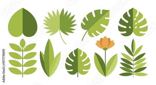 Collection of Various Green Leaves and a Single Orange Flower Illustration.