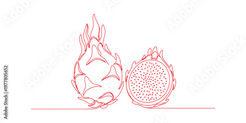 Hand-painted style vector line art of pitahaya fruit, whole and sliced, isolated on a white background.
