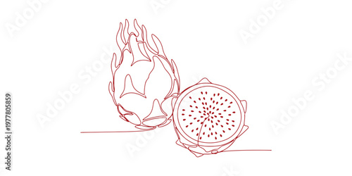 Hand-drawn vector line art of pitaya with whole and sliced dragon fruit, isolated on white for labels and menus.