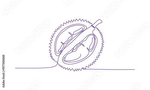 A stylized durian drawn by hand on a tablet in continuous line art and turned into a vector design.