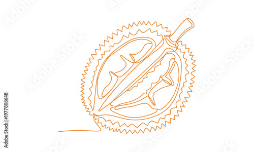 Hand-drawn durian illustration created on a tablet, designed as a continuous line doodle and converted into a vector file.