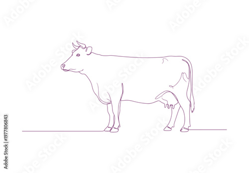 Minimalist continuous line drawing of a dairy cow standing in profile, isolated on white.