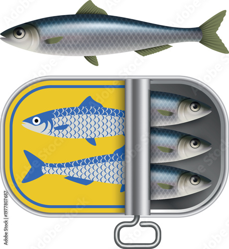 isolate sardine and open sardine can