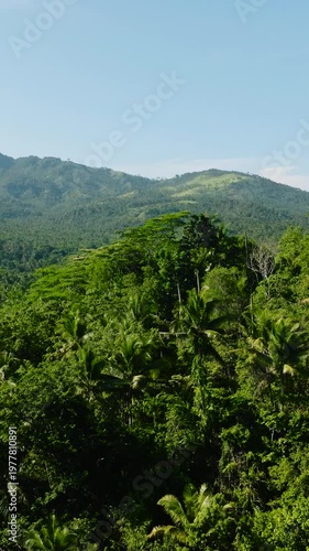 Wallpaper Mural Mountains and green hills in Philippines. Slopes of mountains with evergreen vegetation. Mindanao. Philippines. Vertical view. Torontodigital.ca