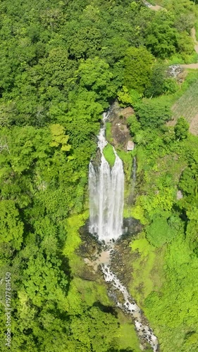 Wallpaper Mural Top view of Lasang Falls and greenery vegetation. Mindanao, Philippines. Bukidnon. Vertical view. Torontodigital.ca