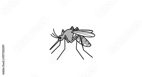 Illustration of a mosquito with visible wings and legs, simple black and white line drawing