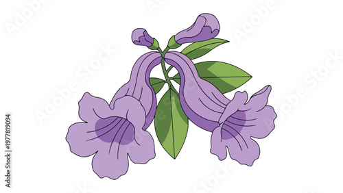 Illustration of a purple flowering plant with green leaves on a white background.