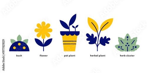 Set of colorful flat style plant icons including bush flower potted plant herbal cluster with labels illustration botanical minimalist collection plantlife environment freshness