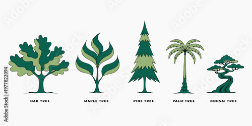 Line art illustrations of five distinct tree types including oak maple pine palm bonsai on a white background with plant life botanical collection woody plant ligneous plant