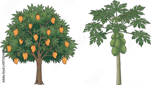 Tropical fruit trees collection featuring a lush mango tree with ripe yellow fruits and a green papaya tree with clusters of fresh produce