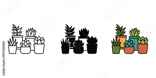 Set of succulent plants in different styles isolated on transparent background