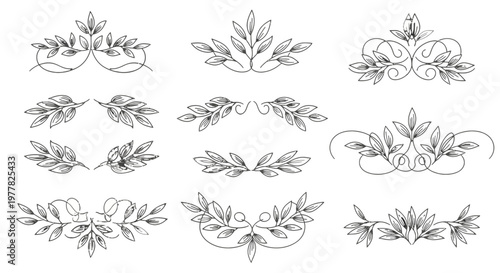 Collection of various leafy floral designs.
