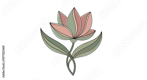 Pink Lotus Flower with Green Leaves.