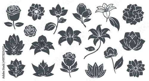 Collection of various flower illustrations.