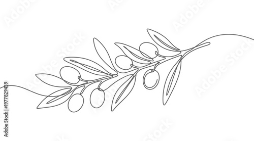 Minimalist Continuous One Line Drawing of an Elegant Olive Branch with Fresh Olives and Leaves, Abstract Botanical Illustration ceasefire 