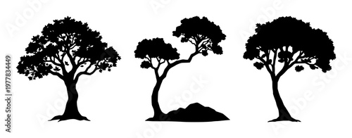 Money tree icon set with solid black icon on white background featuring passive income, finance, investment with icons and graphics
