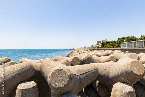 大蔵海岸の消波ブロック