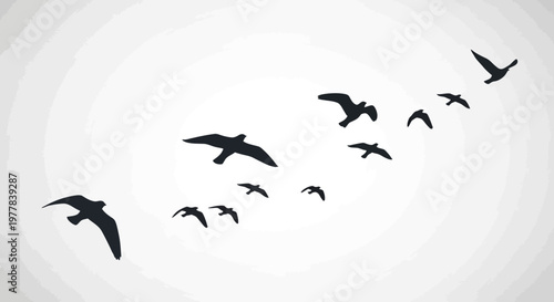 Flock of birds flying in formation.